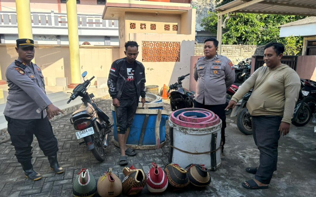 Polsek Brondong Gerebek Sabung Ayam di Sawah Sumberagung, Pelaku Kabur Tinggalkan Ayam dan Motor